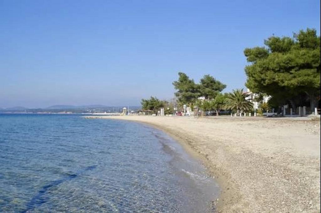 Beach House Nikiti Dış mekan fotoğraf